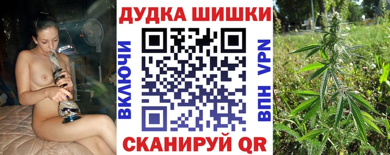Купить закладки  Беломорск  Шишки марихуана план 